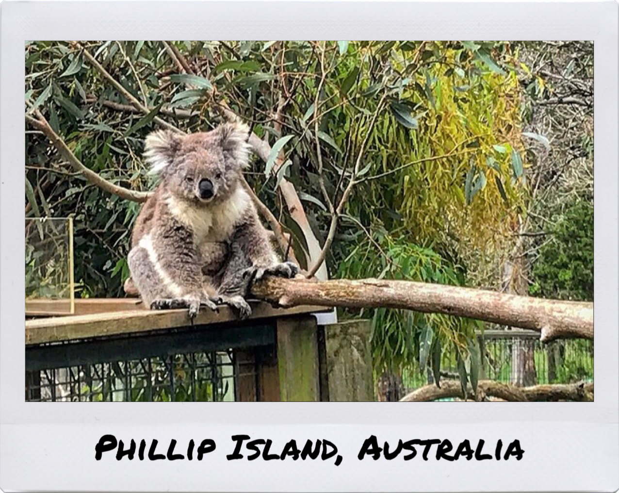 Phillip Island, Australia